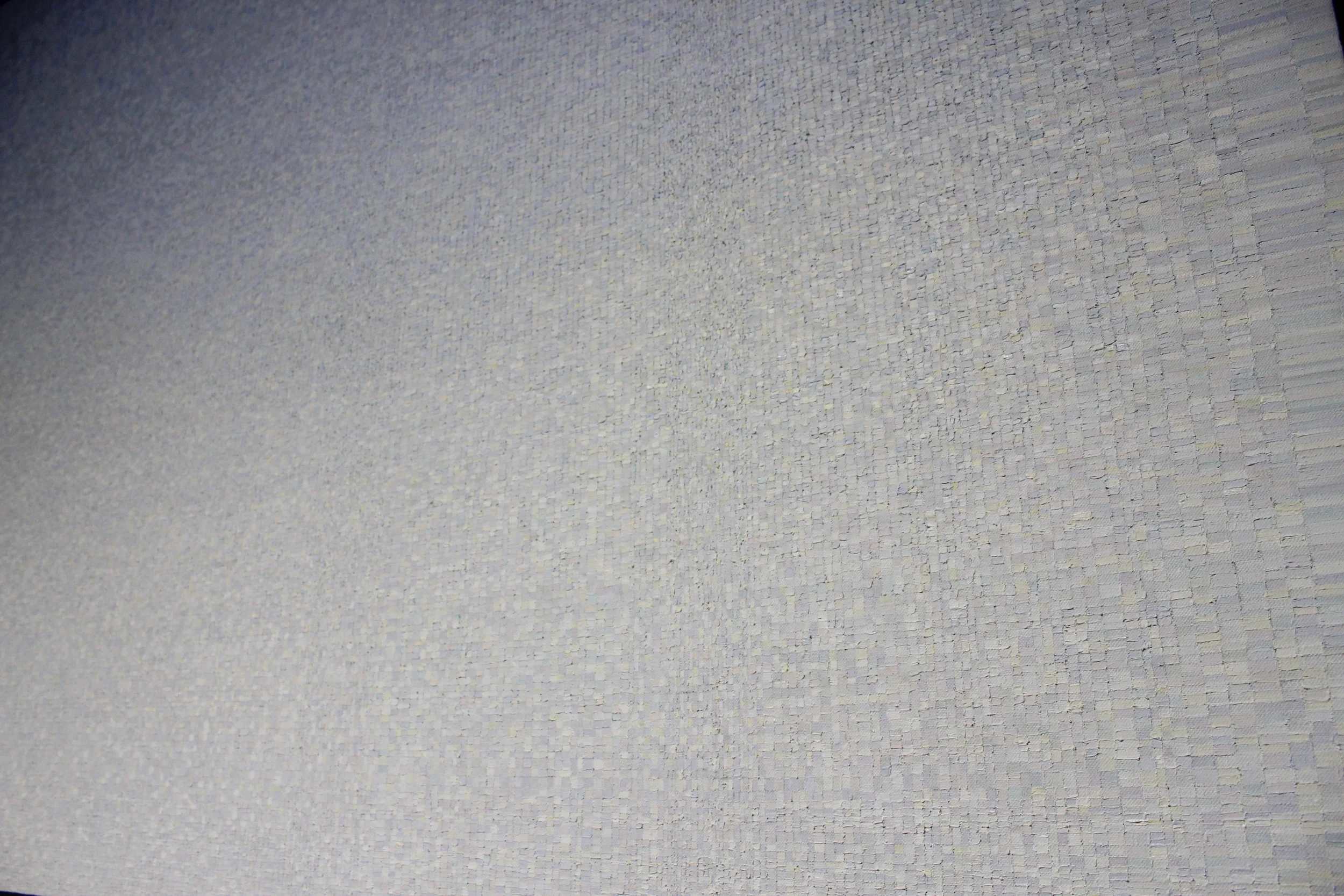 PaleComp.Detail_3.Johnson.jpg