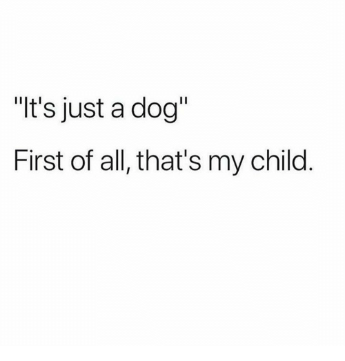 its-just-a-dog-first-of-all-thats-my-child-28525893.png