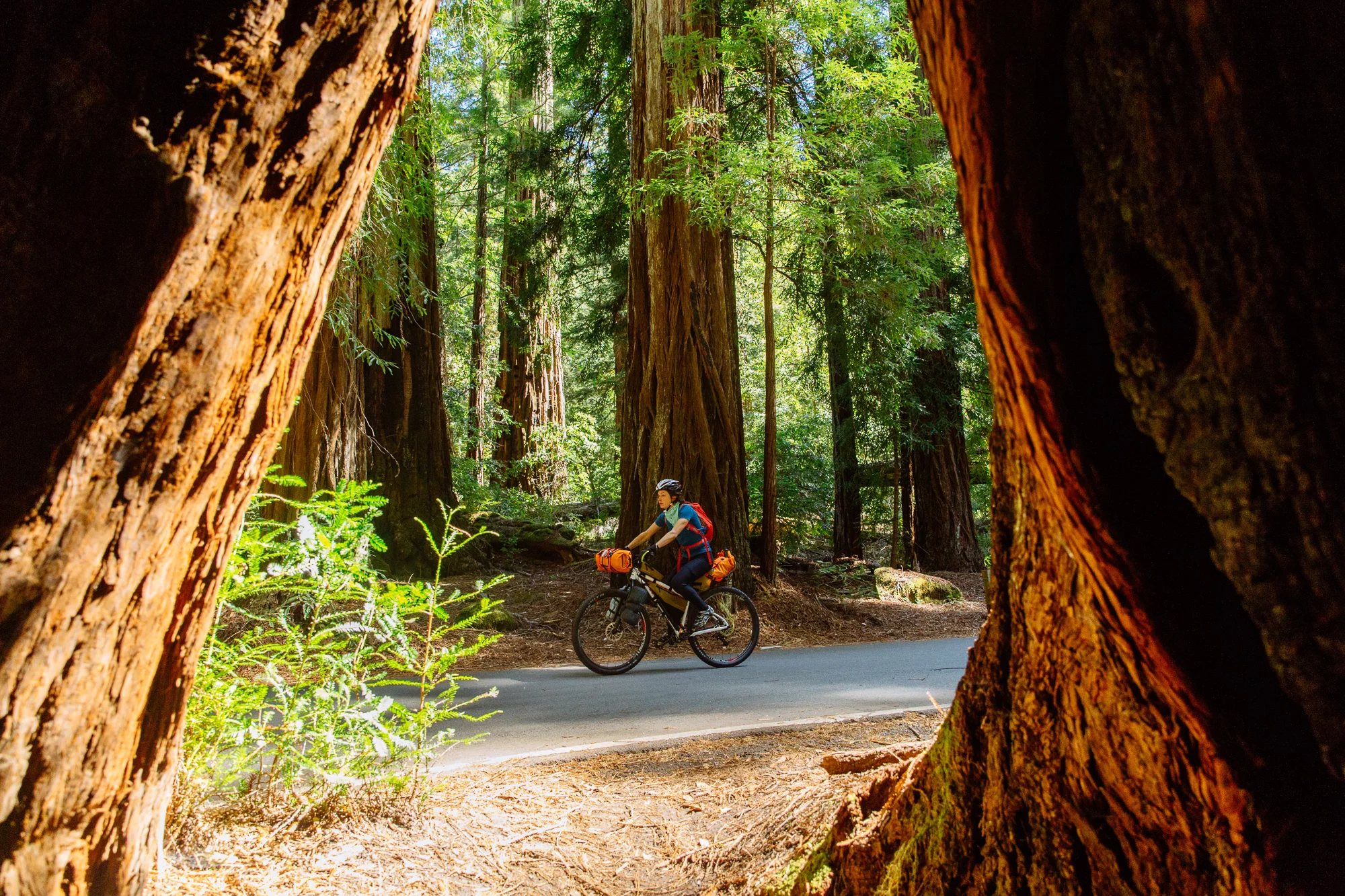 Blackburn Design Ranger Camp