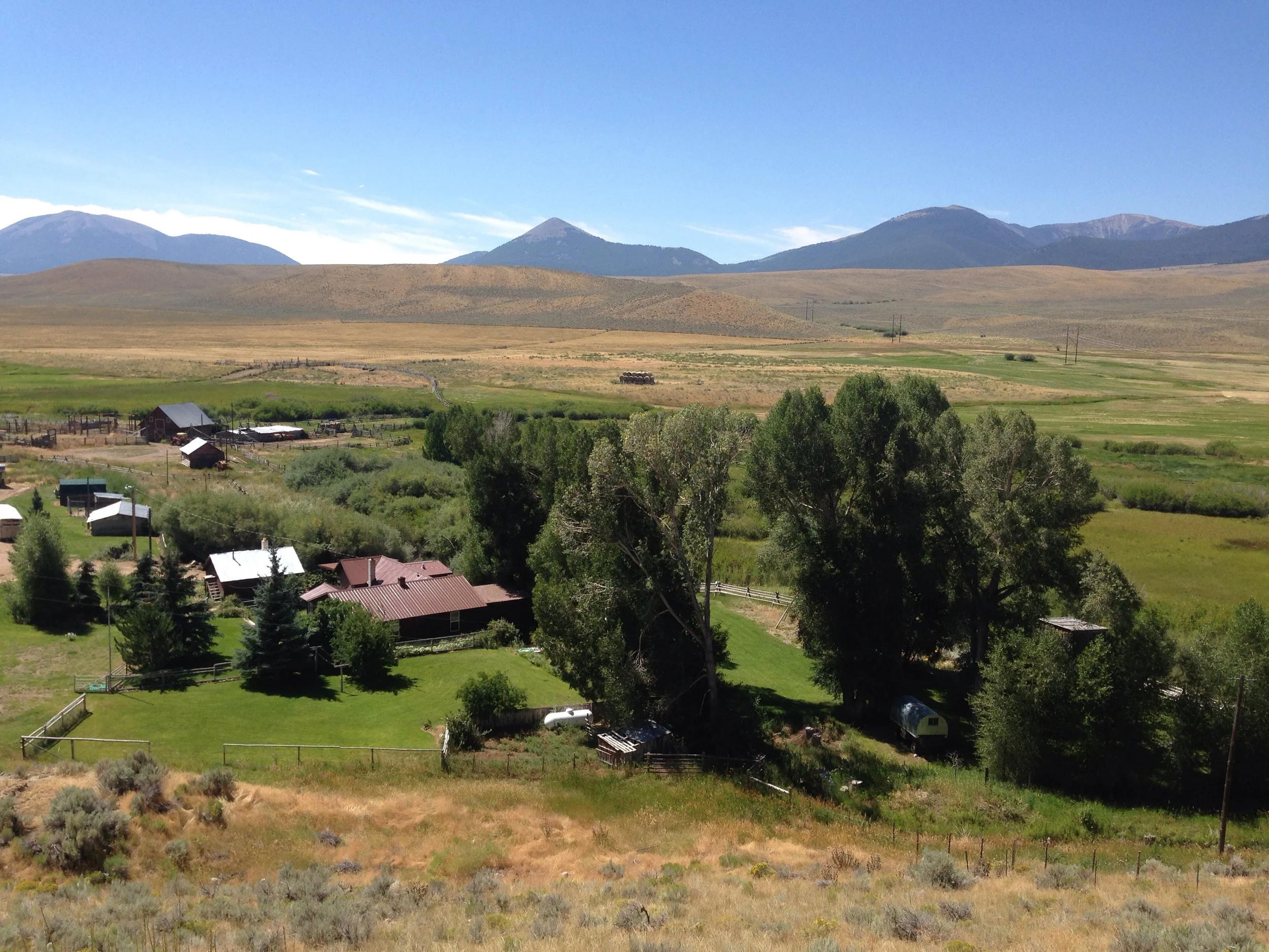 Montana lawns.