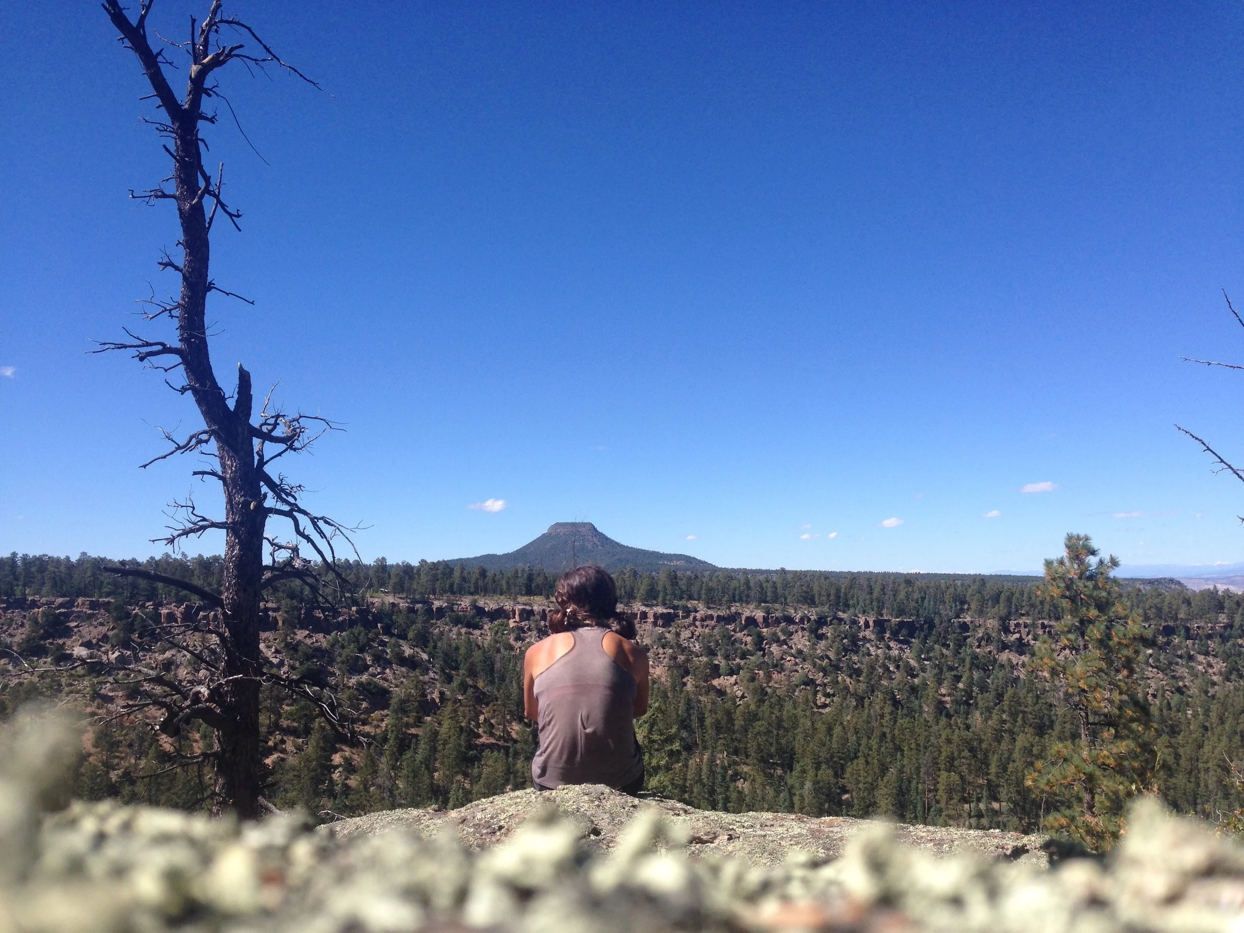 This canyon could've felt like nowhere at this all time emotional low (in certainty around water, alone, very difficult terrain), but I decided it was definitely and awesome "somewhere", and that I was lucky to experience it. 