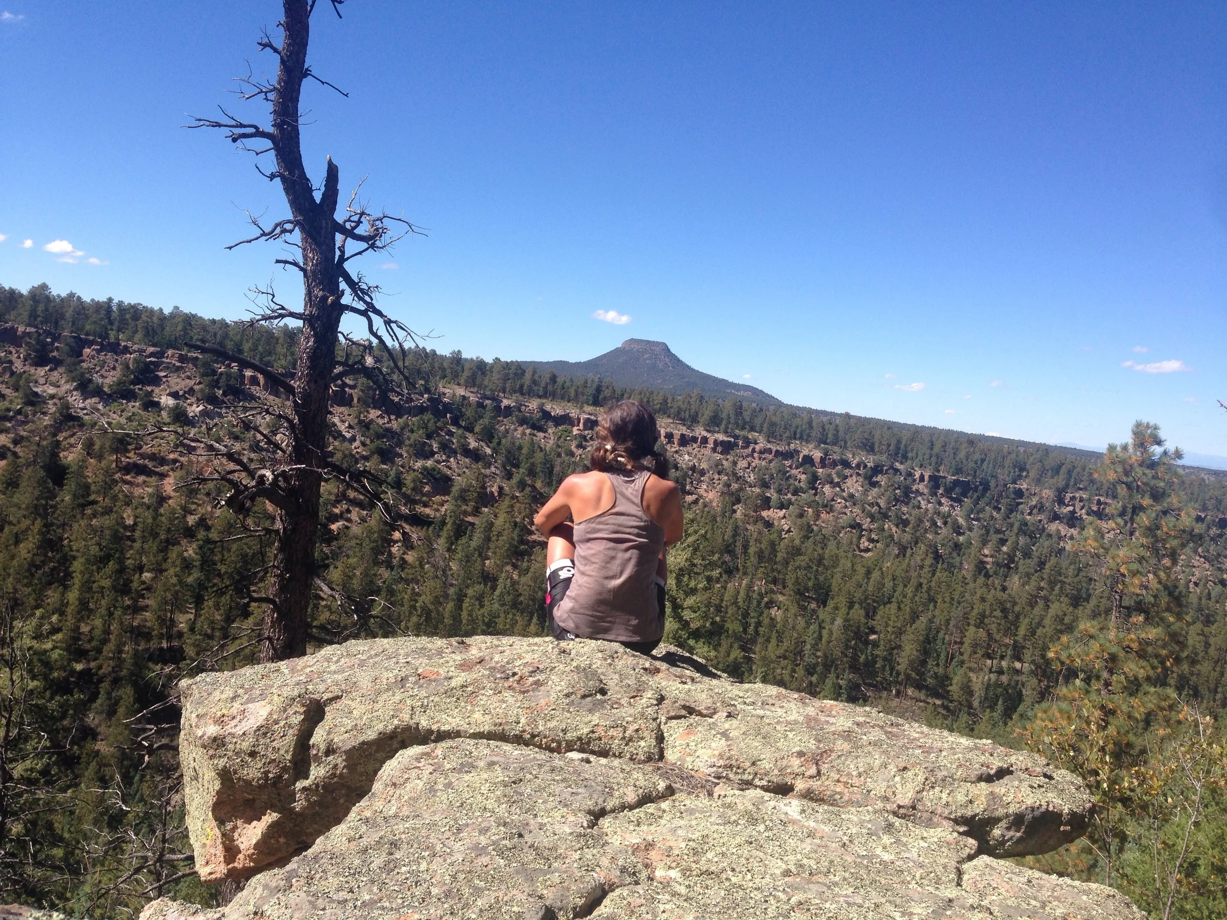 Hiked 10 feet off the trail and took a time out from the Abiquiu climb to appreciate the vast canyon below. You couldn't see it from the trail. 