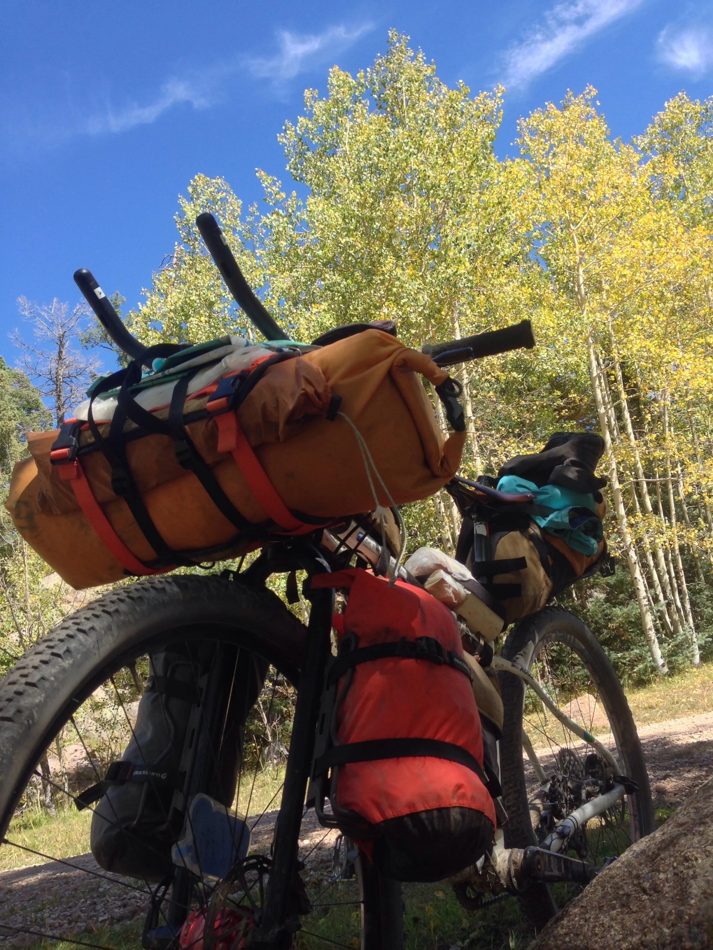 Me, my bike, and the aspen.