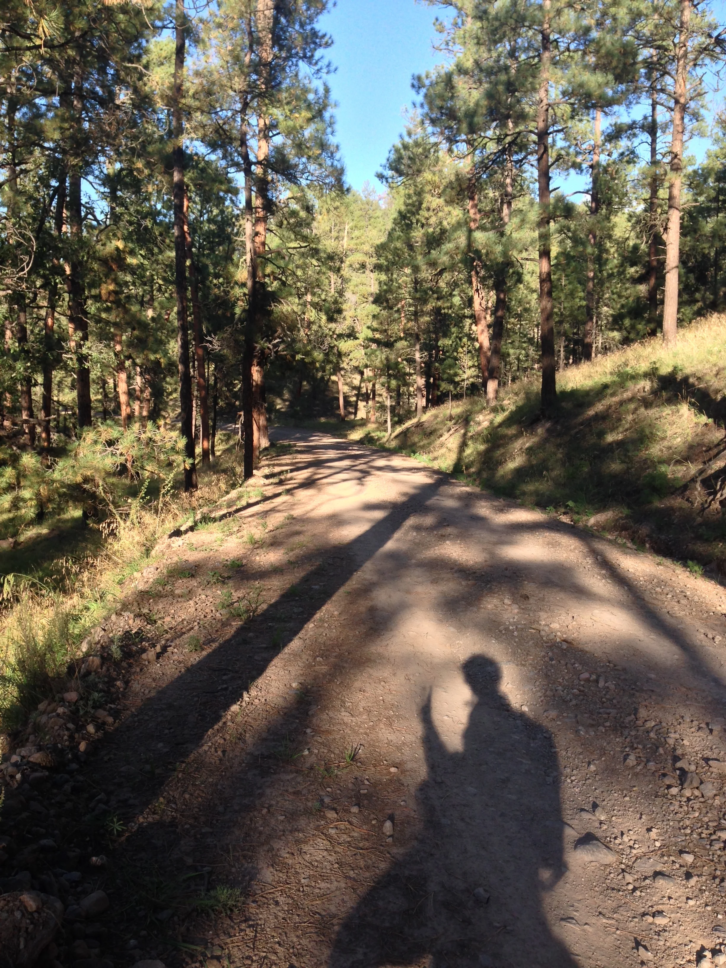 New Mexico in Review