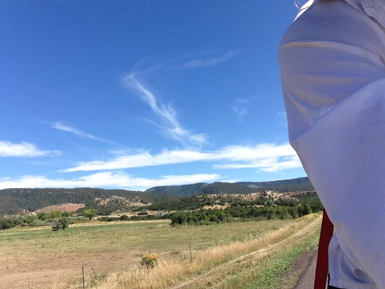 What Worked and What Didn't - Entertainment