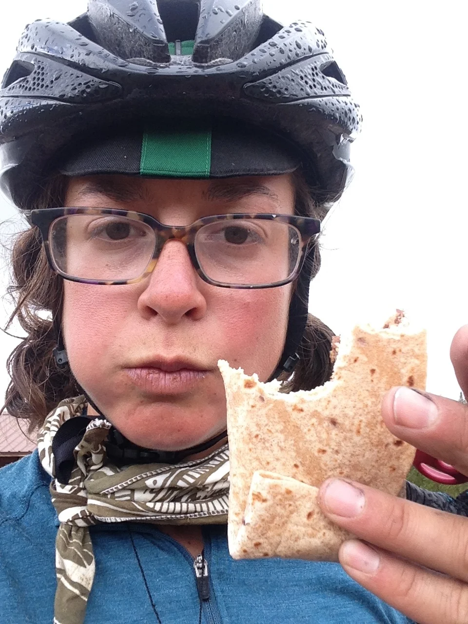 What Worked and What Didn't - Nutrition