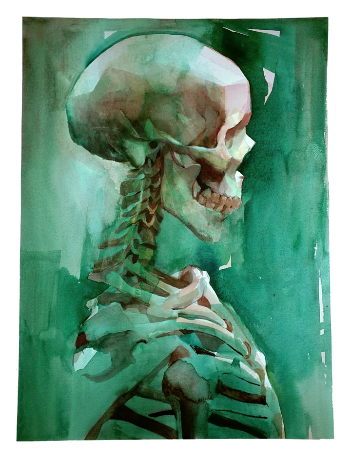 profile of a skeleton.jpg