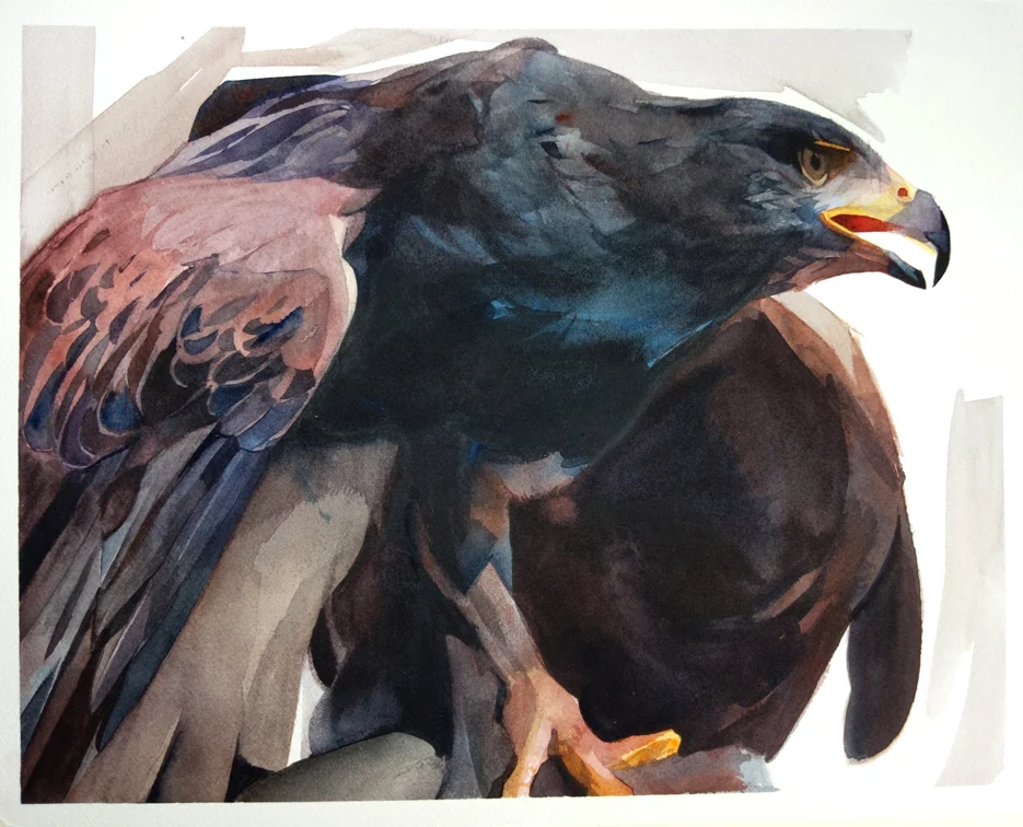 the bird web 1.jpg