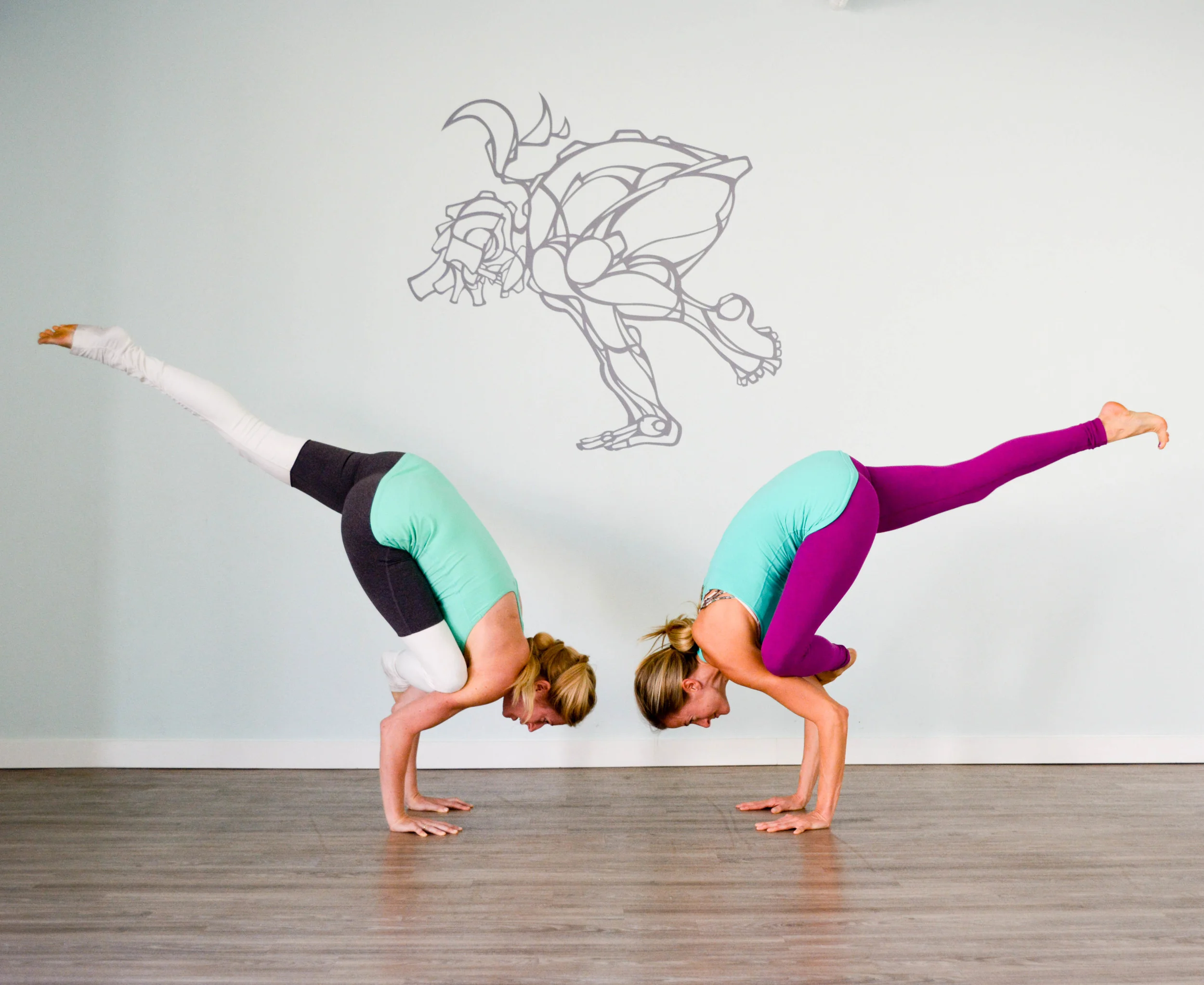 superyogi.jpg