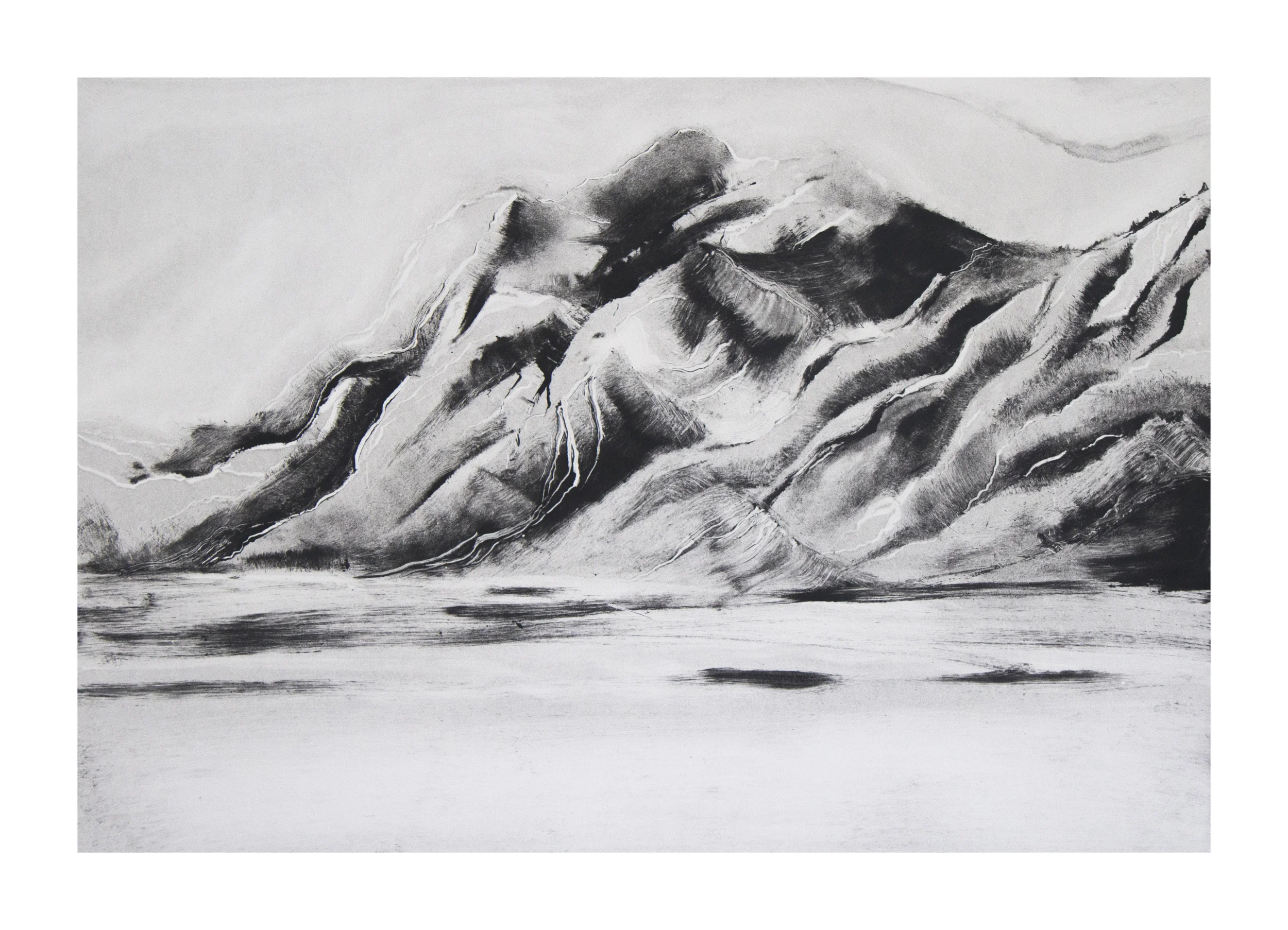  monotype 30" x 22" 2013 