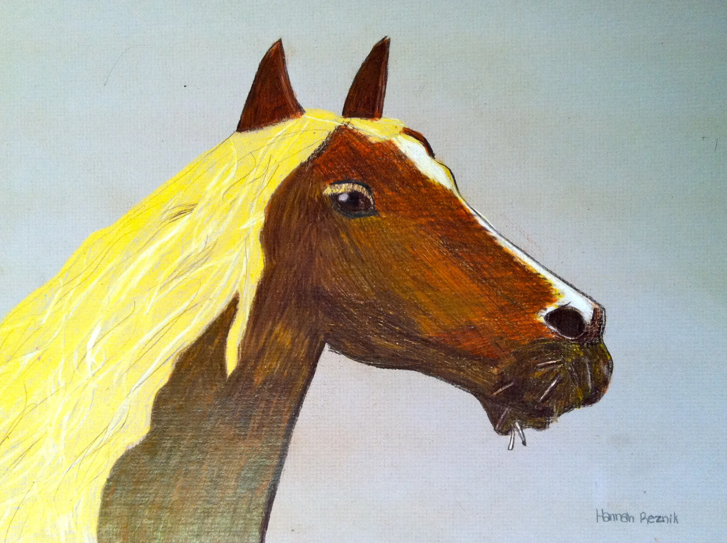 Teen student work in pastel... great work by Hannah!