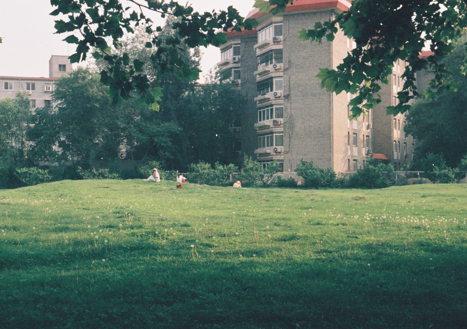 000019.jpg