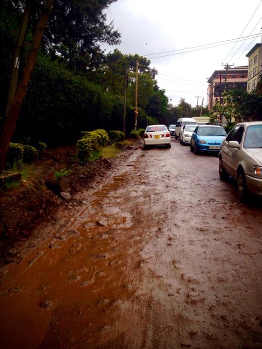 after a light rain...