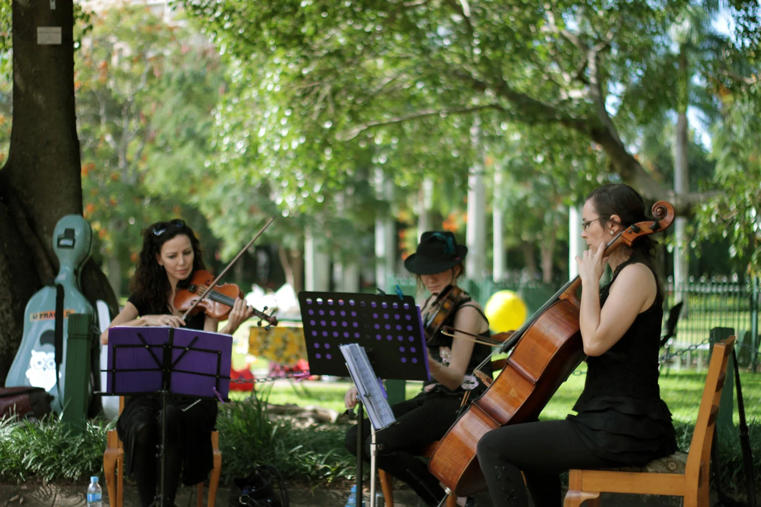 Jenny Humberstone - Ideas Fiesta - Botanic Gardens - 24 April - A Shot of Green (15).jpg