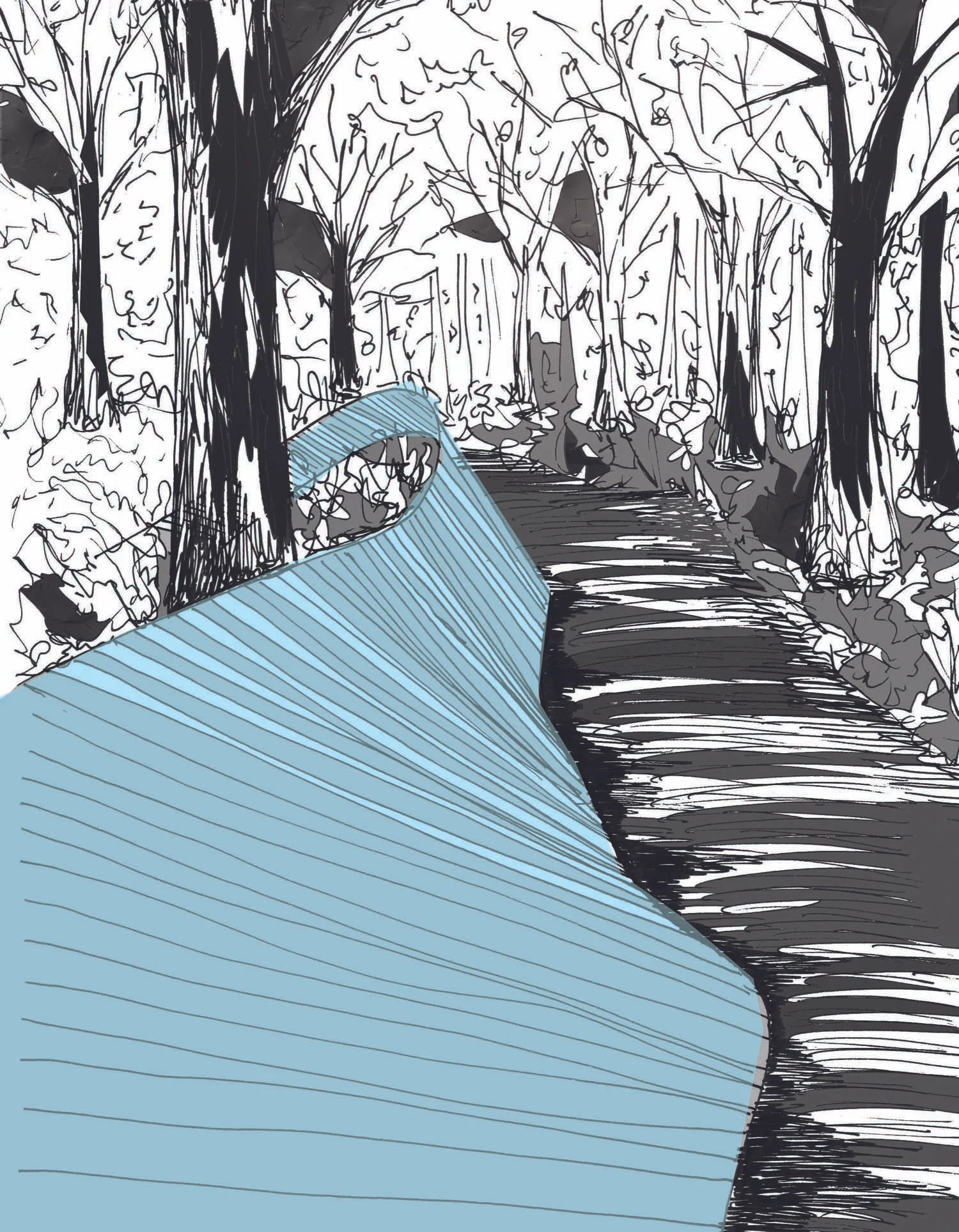 LAKESbwforestboardwalk2.jpg