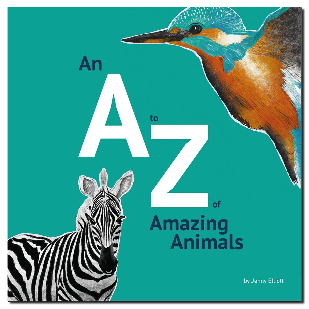 Animal Alphabet book — jenny elliott