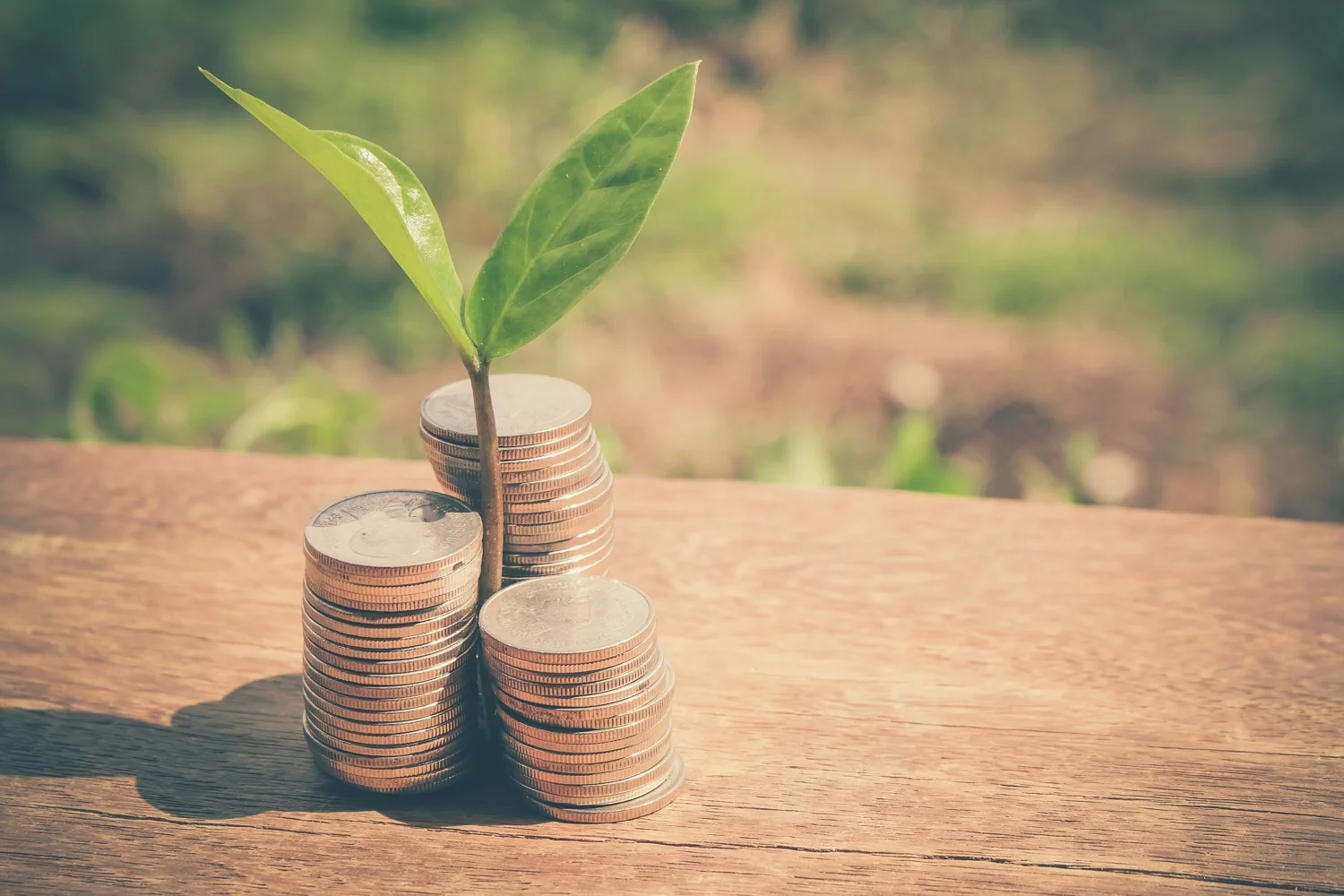 Vaurastumisen perusteet.jpg