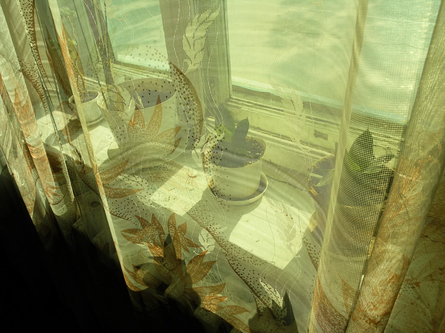 In a sanatorium near Odessa.