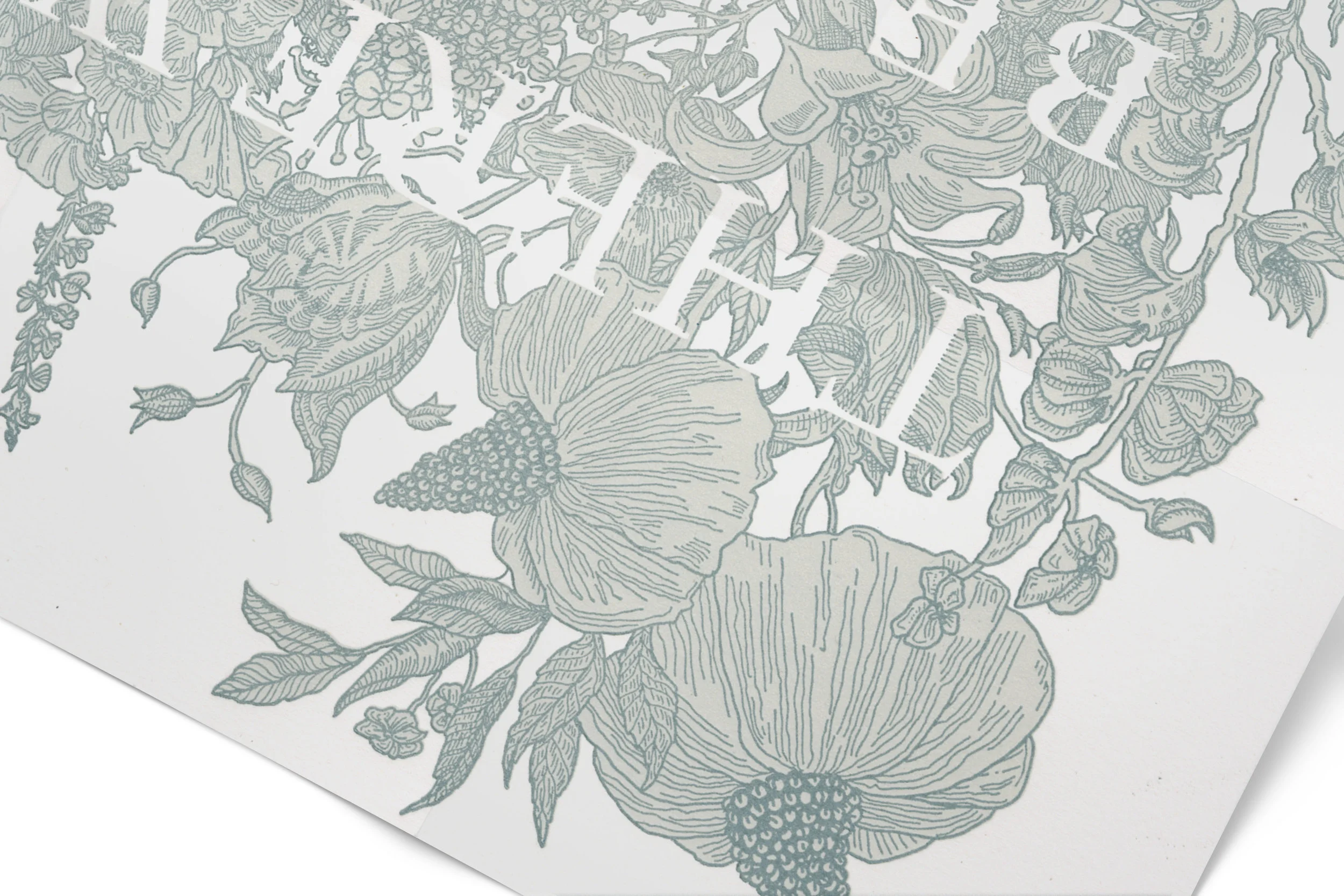 _Flowers_closeup.jpg