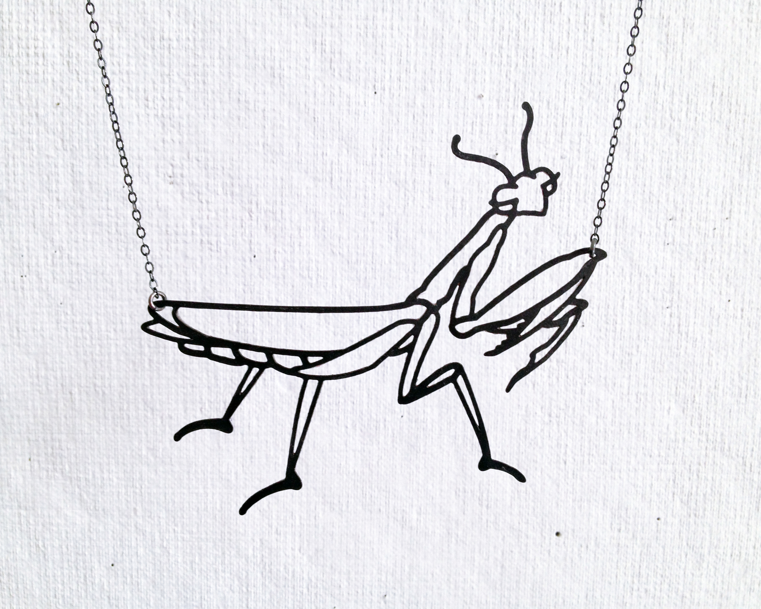 prayingmantis.jpg