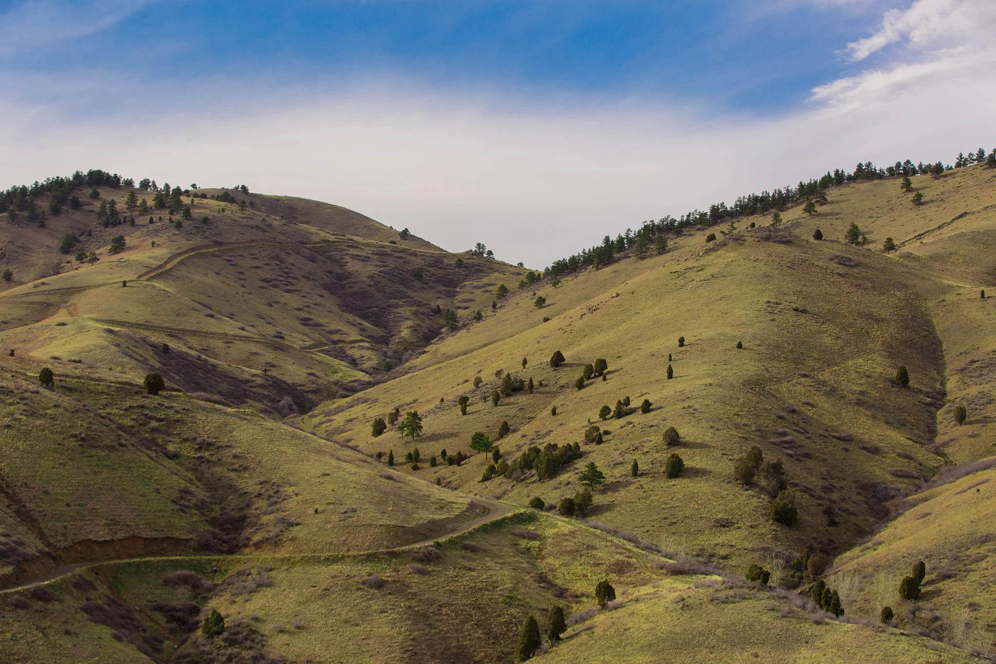 Colorado Hills