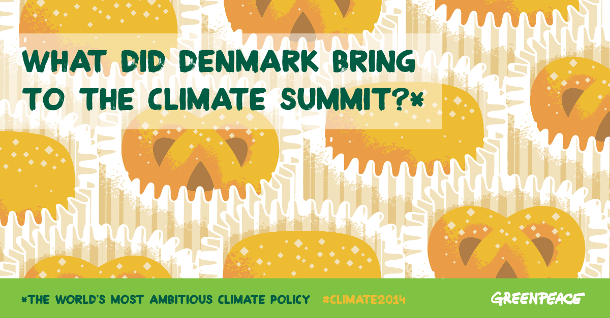 What did Denmark bring to the climate summit?