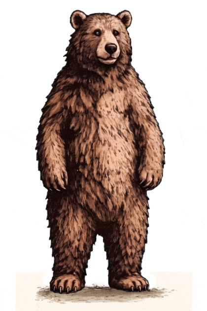 Gif_Bear.gif