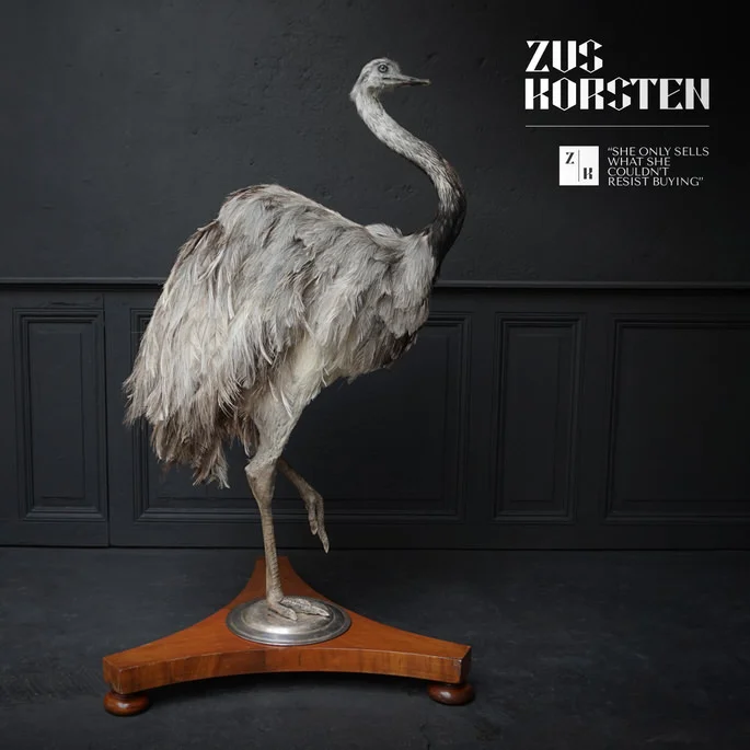 Greater-Rhea-01.jpg