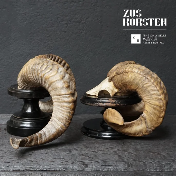 Rams-Horns-Plak.jpg