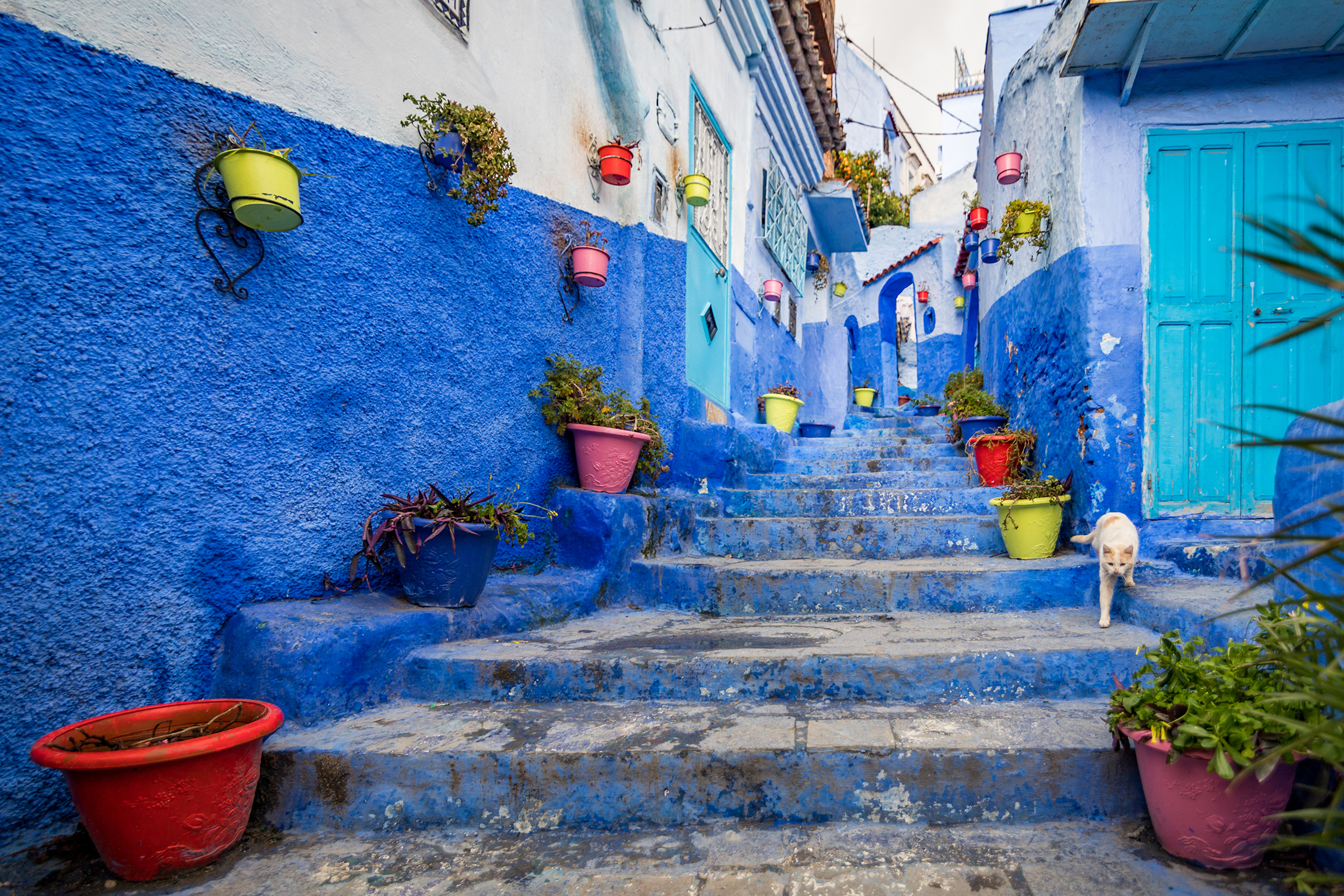 Chefchaouen is a small village in northen Morocco, near the Rif Mountains. Almost everything in sight is painted blue.