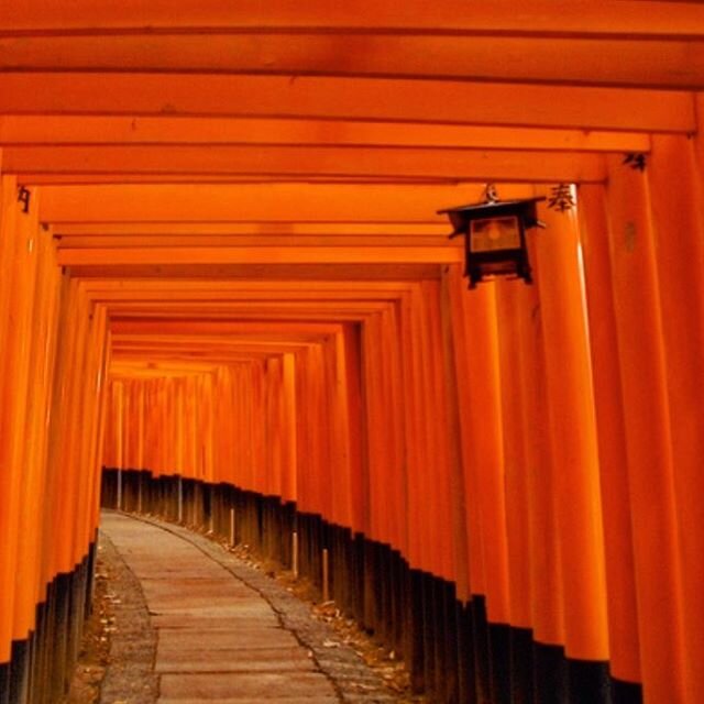 Serene Kyoto.

#kyoto #japan #fushimiinari #shrine #landscape #travel #explore #adventure #serene #design #architecture