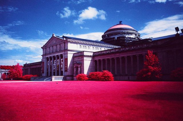 Chicago's Museum of Science and Industry. This building is mostly just three stories of buttons that are really fun to press.
.
#MOSAID #MuseumOfScienceAndIndustry #Science #Architecture #Chicago #SouthSide #HydePark #WindyCity
.
#Aerochrome #Aerochrome400 #Kodak #KodakAerochrome #EIR #KodakEIR #IR #Infrared #ColorInfrared #ExpiredFilm #Film #FilmIsNotDead #ShootFilm #35mm #FPP #FilmPhotographyProject #FPPInfrachrome #Infrachrome #ColorInfraredFilm #InfraredFilm