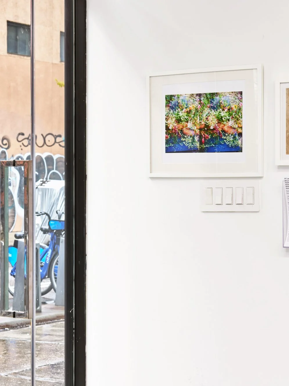 Land Print Crop_.jpg