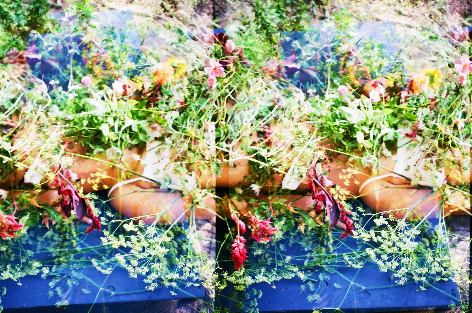 000268270011_edit for print-1.jpg