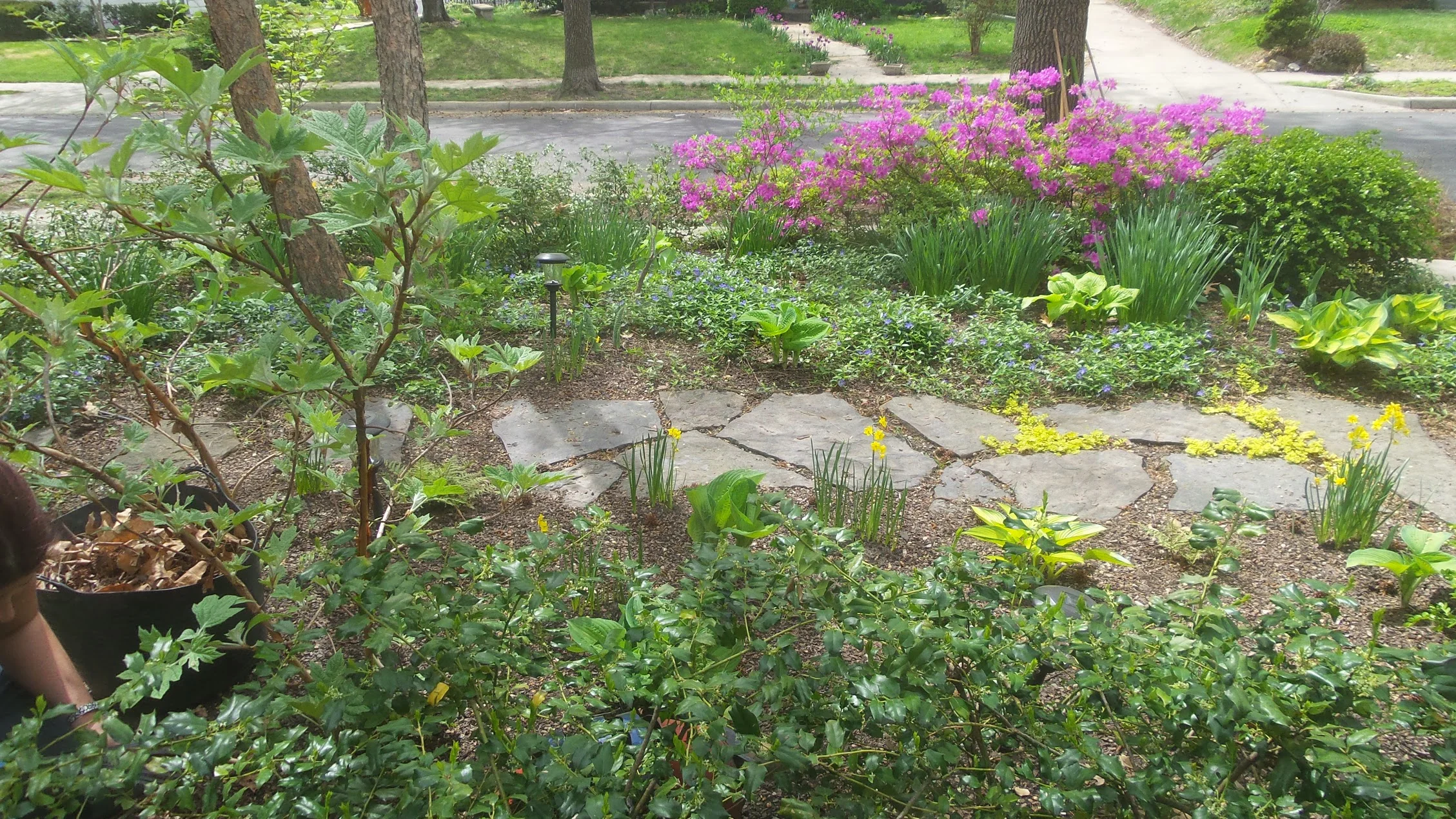 20150417_115509.jpg