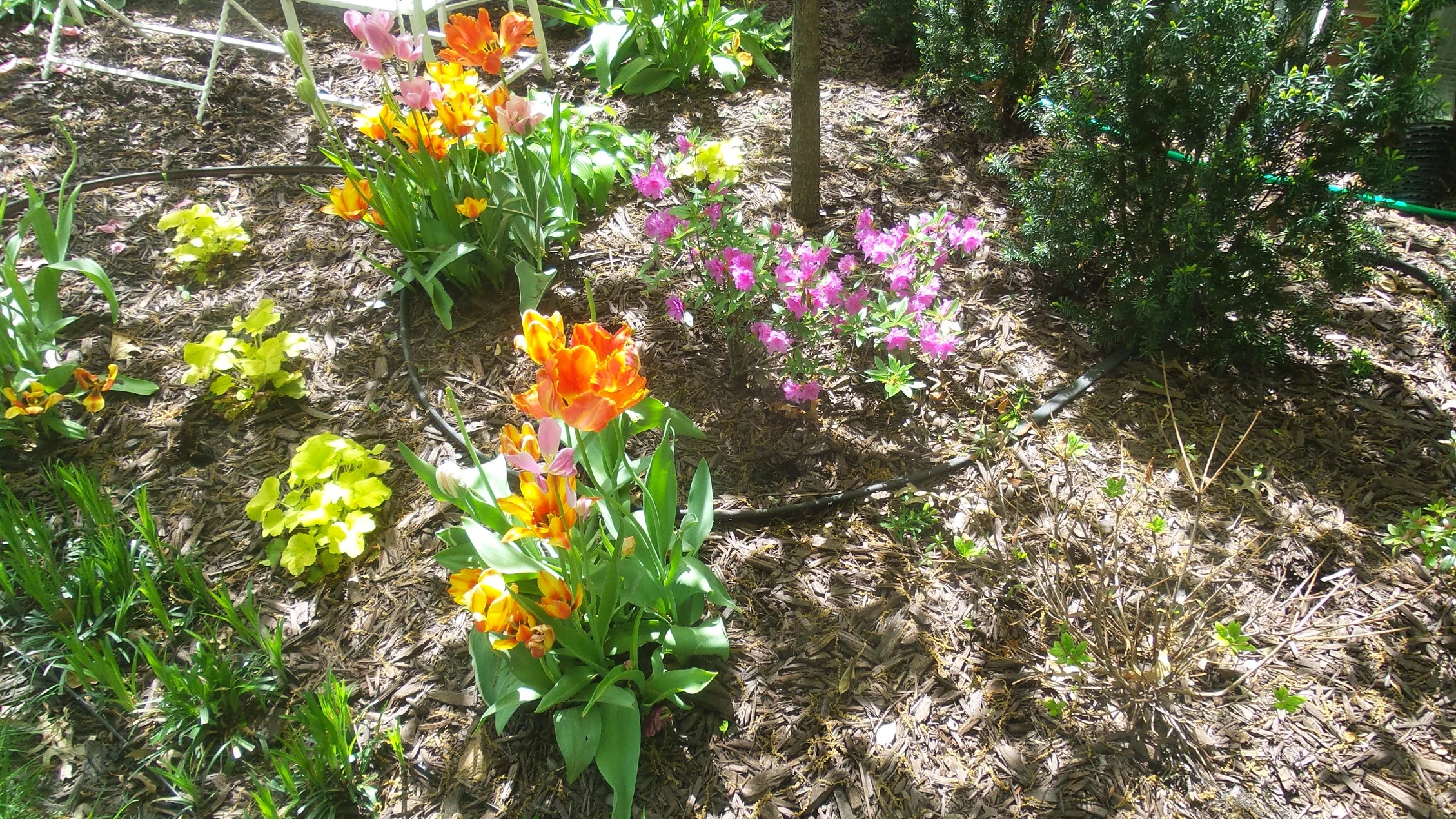 20150428_121257.jpg