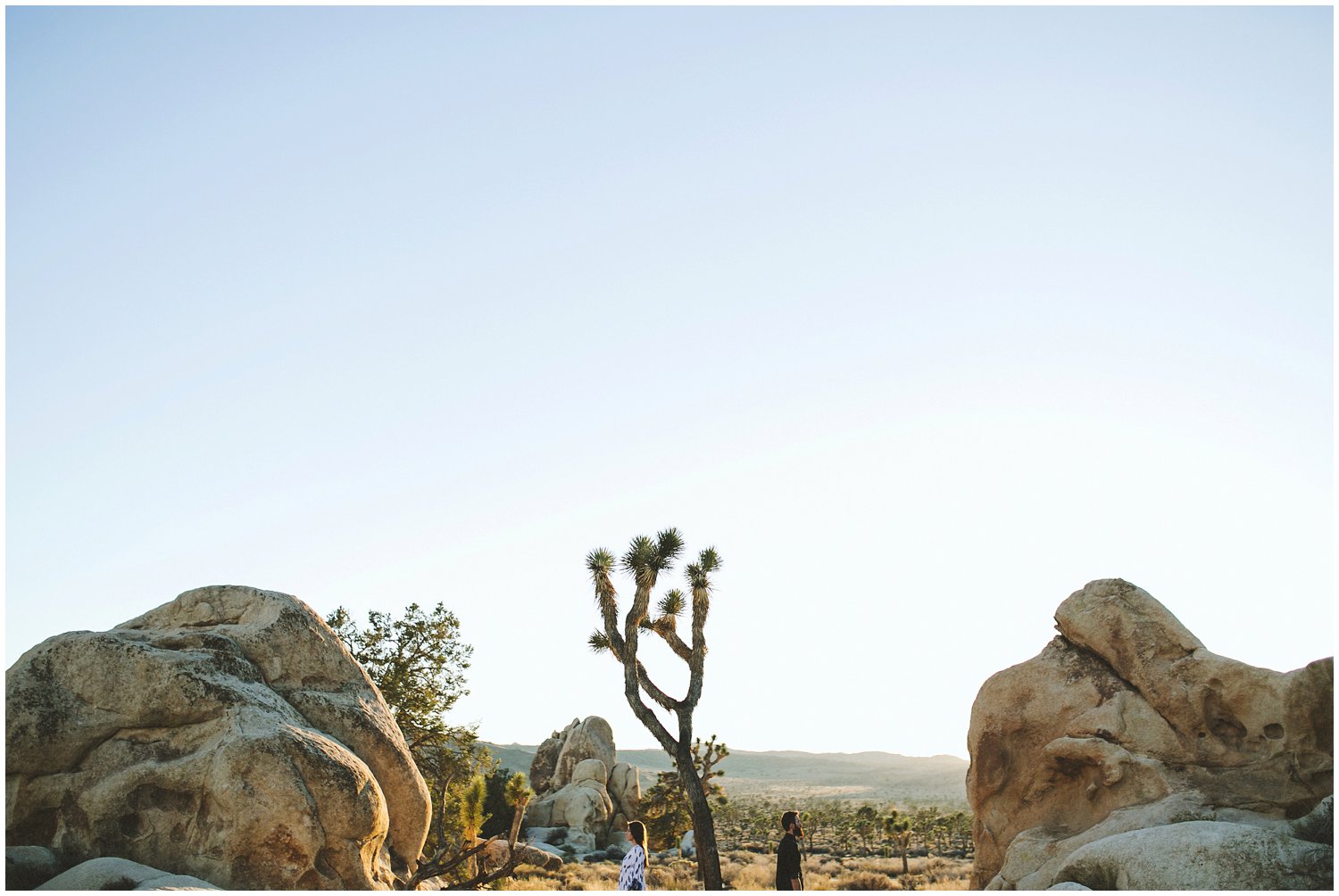 joshuatree_weddingphotographer_destinationweddingphotographer_emilychidesterphotography_0031.jpg