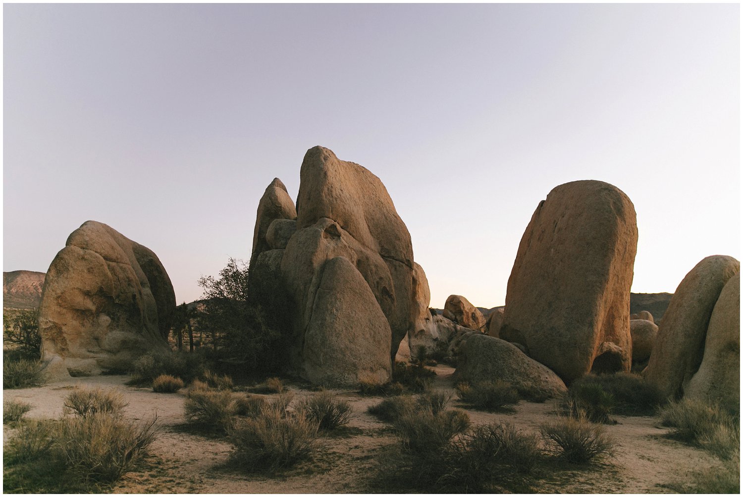 joshuatree_weddingphotographer_destinationweddingphotographer_emilychidesterphotography_0044.jpg