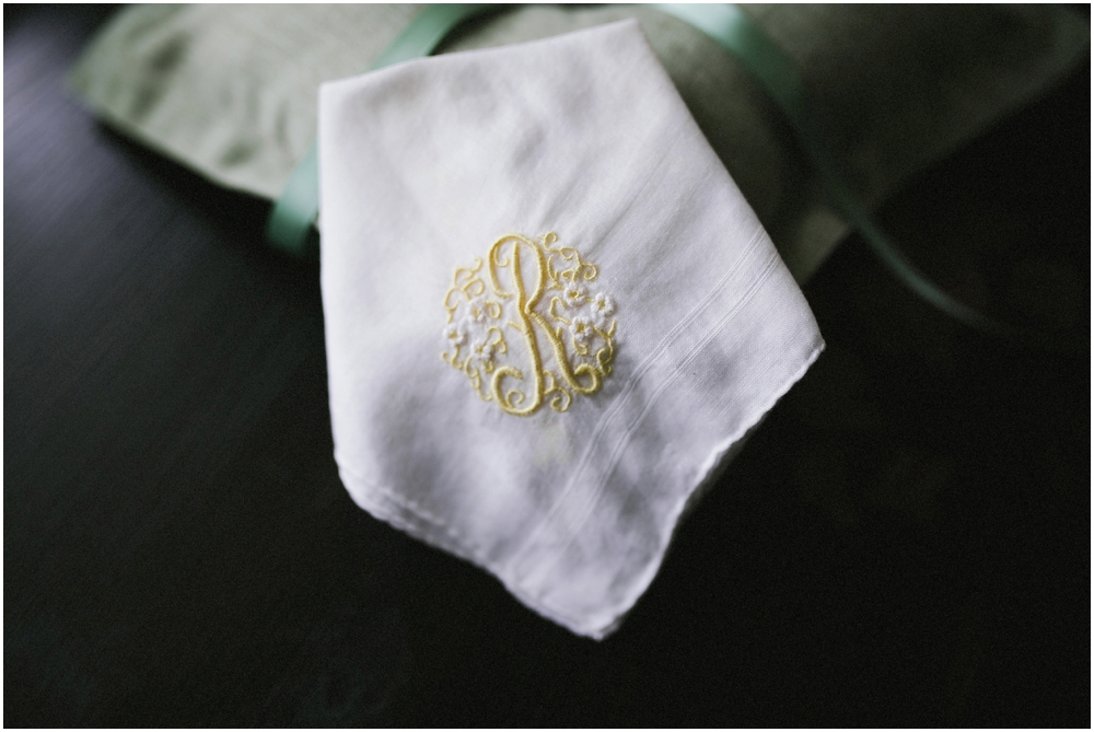 AshevilleDestinationMountainWeddingPhotographer_0357.jpg
