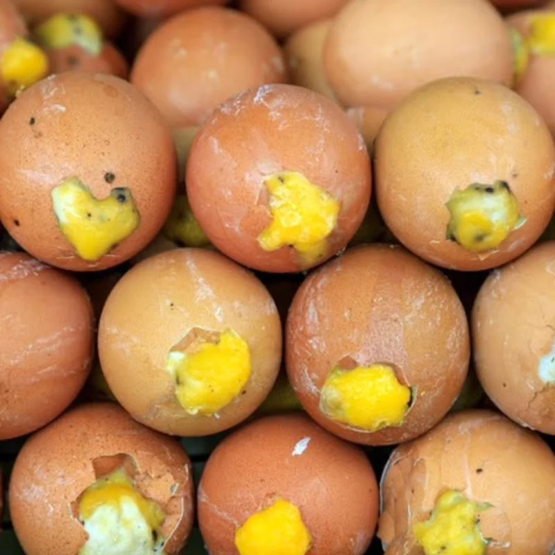 Ramar Foods Balut Eating Contest