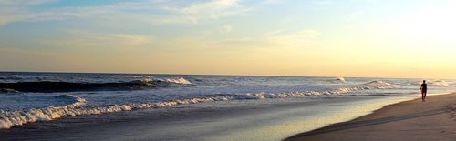 The view of a quiet beach between the Pines and Grove