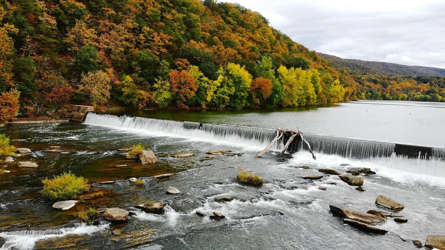 Curl Up Like a Dead Leaf and Go Where the Wind Blows