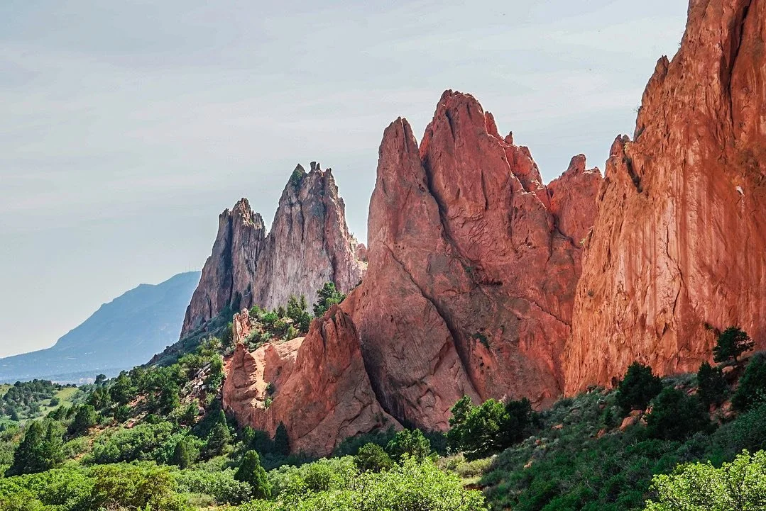 &ldquo;A place for the Gods to assemble and drink beer.&rdquo;