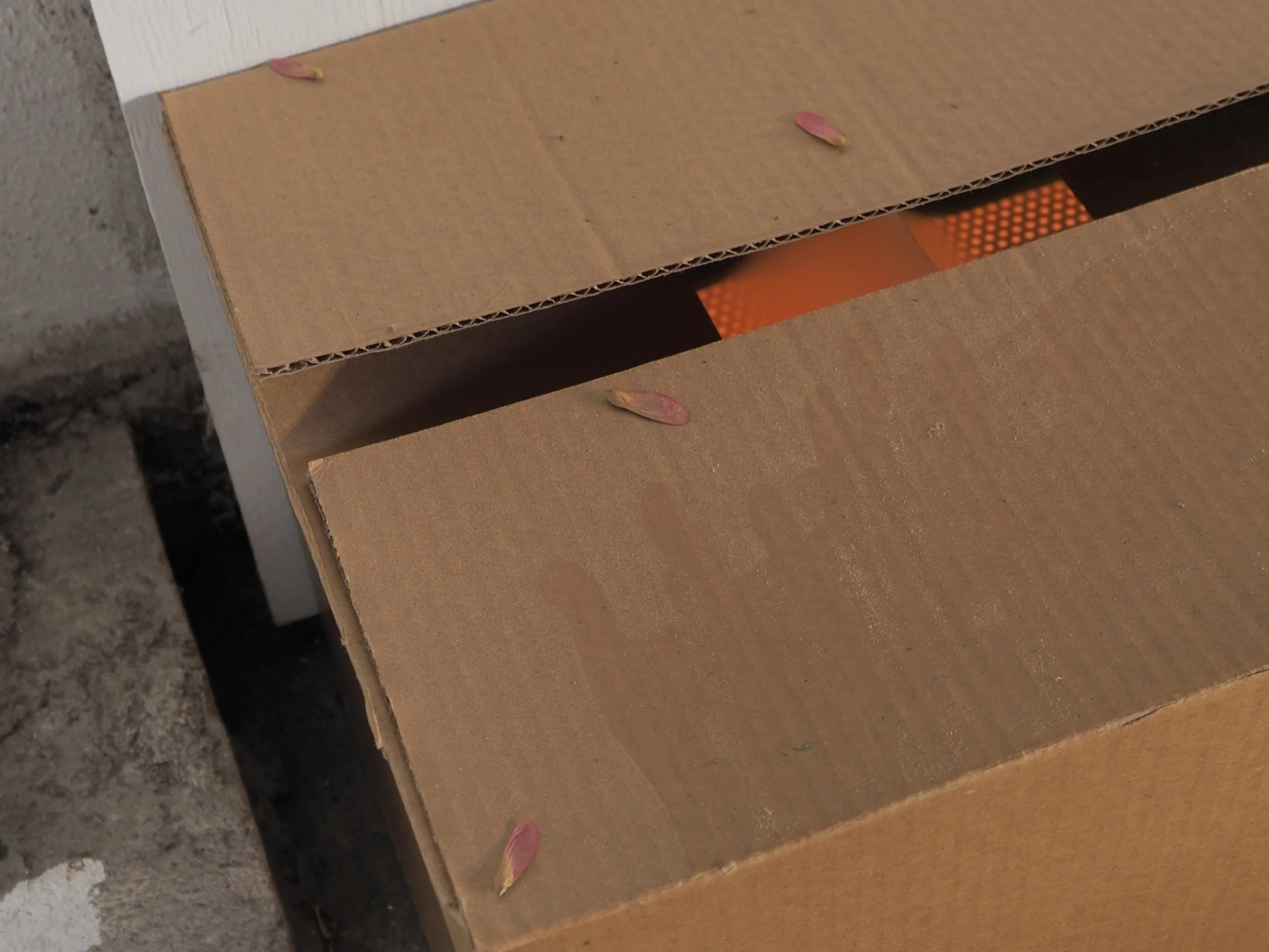 P4042196.jpg