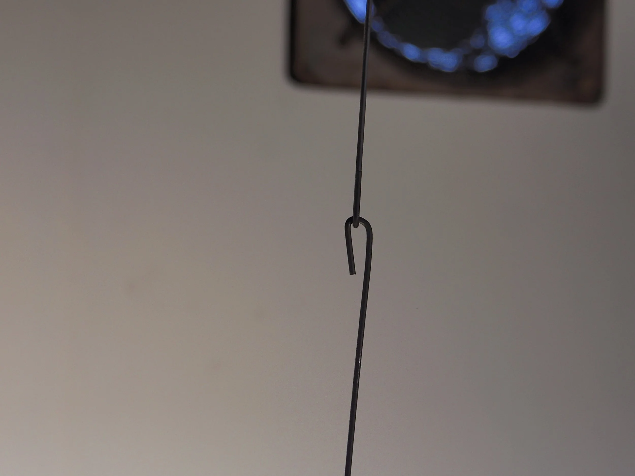 P4042363.jpg
