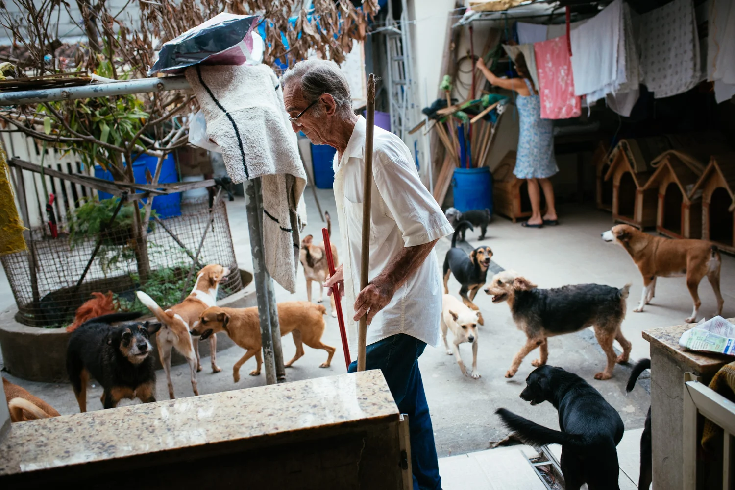 Euracy Aguiar Prado, 80 (center) with his wife Edina Ferreira Prado, 70, as they clean up after their dogs. They adopted their first two dogs 15 years ago. Ever since, Mrs. Prado slowly began adopting abandodned dogs from their neighborhood. Today they estimate thay have at least 100 dogs at home. Rio de Janeiro, Brazil, 03-15-2015