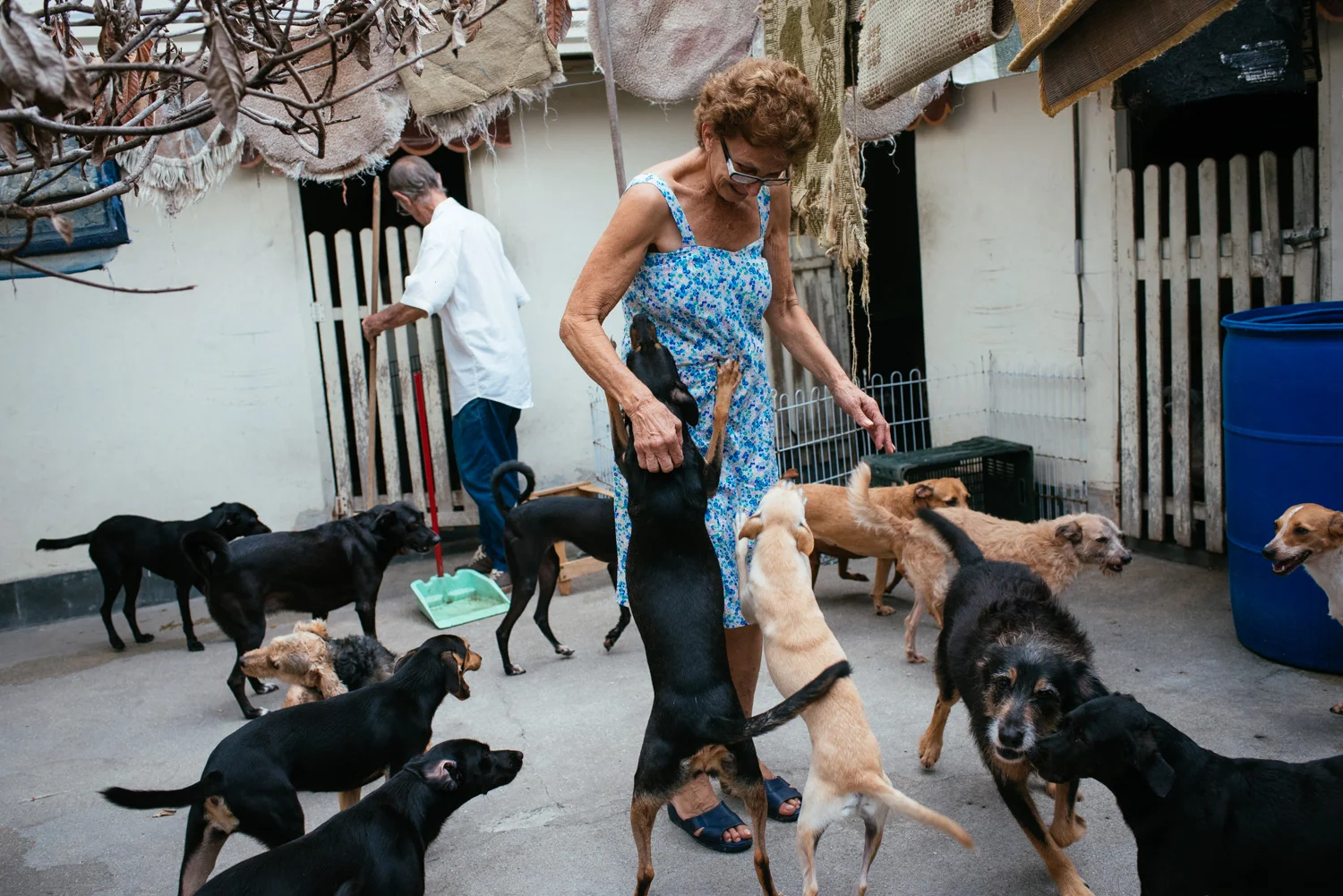 Edina Ferriera Prado, 70, (center) greets some of her many dogs in her backyard. She credits her dogs with helping her overcome depression. Rio de Janeiro, Brazil, 03-15-2015