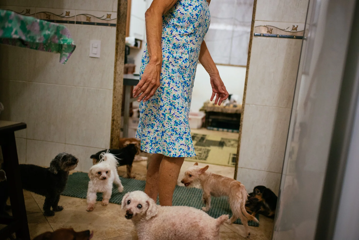 Edina Ferreria Prado, 70, moving through her kitchen, being careful not to step on her many dogs. Rio de Janeiro, Brazil. 03-15-2015