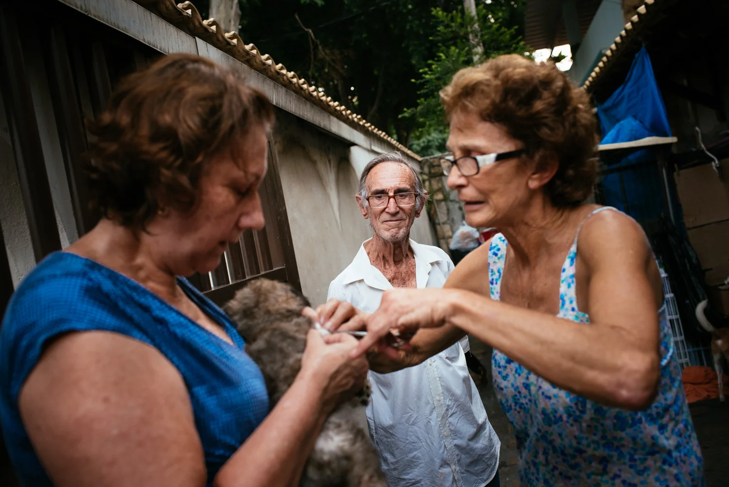 Euracy Aguiar Prado, 80, (center) looks on as his wife, Edina Ferreira Prado, 70, picks off a tick from a puppy that is about to be adopted. Rio de Janeiro, Brazil, 03-15-2015.