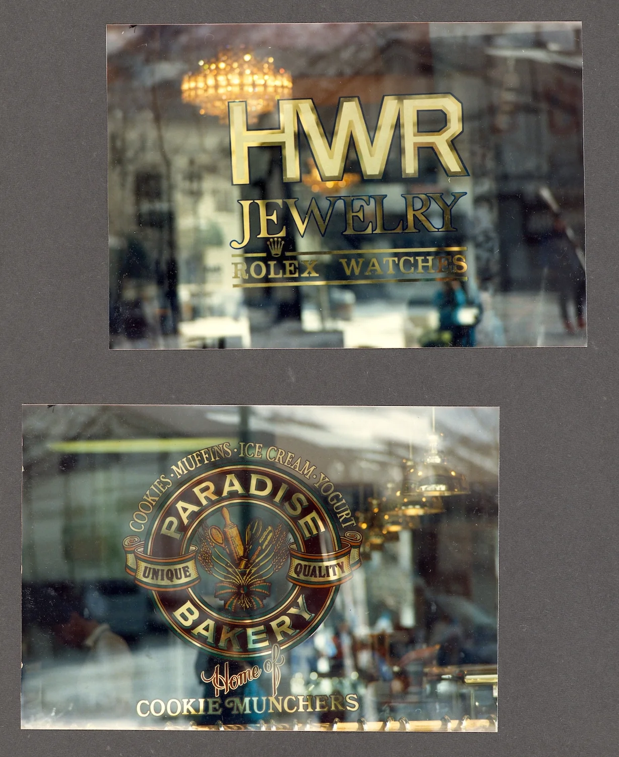 Gold Leaf Window Signs